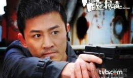 雷霆扫毒全集在线观看,全剧揭秘，正义与邪恶的终极对决